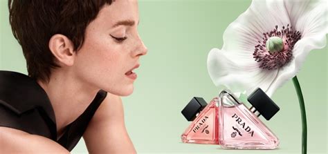 prada bloom|prada paradoxe flower.